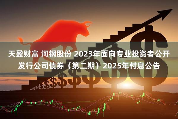 天盈财富 河钢股份 2023年面向专业投资者公开发行公司债券（第二期）2025年付息公告