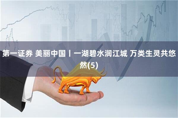 第一证券 美丽中国丨一湖碧水润江城 万类生灵共悠然(5)