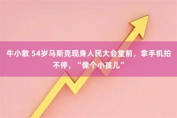 牛小散 54岁马斯克现身人民大会堂前，拿手机拍不停，“像个小孩儿”